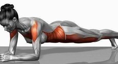 Luyện tập Plank giúp bạn giảm mỡ bụng hiệu quả