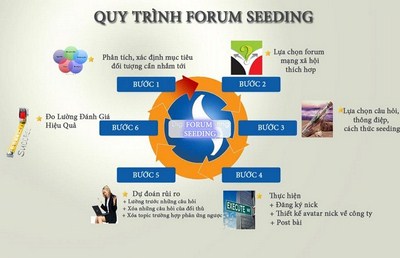 Quy trình làm forum seeding